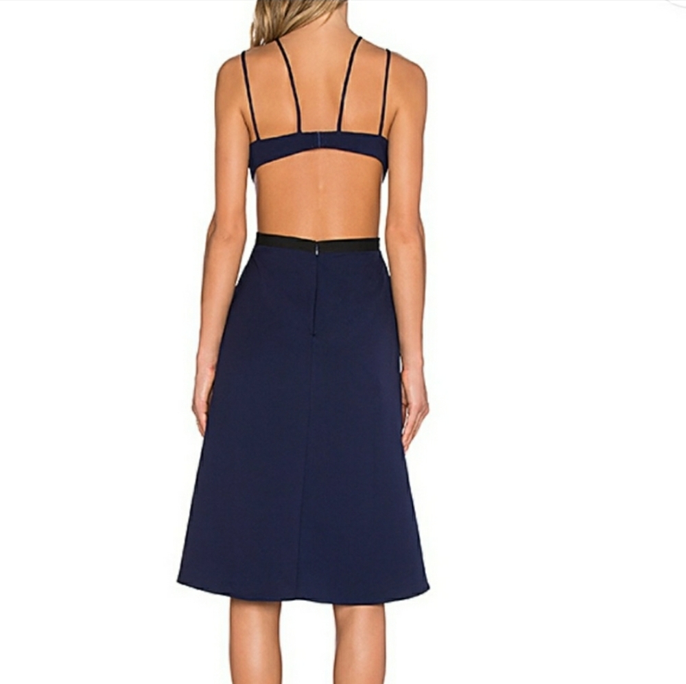 Revolve Backless Dress - Picture 3 of 6